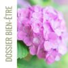Le magazine du printemps