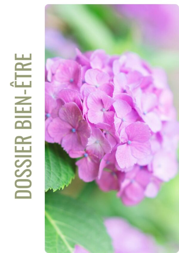 Le magazine du printemps