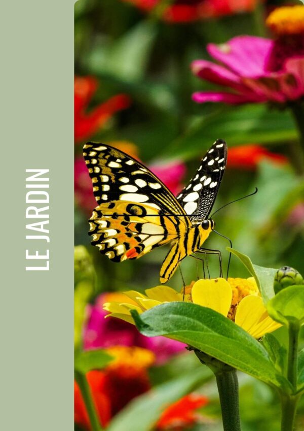 Le Magazine de printemps  : le temps des métamorphoses