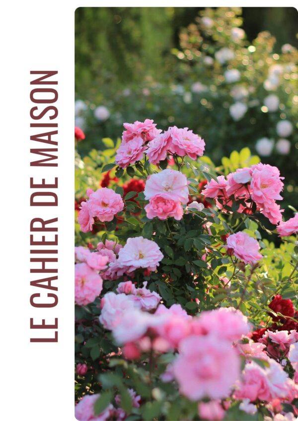 Le magazine du printemps