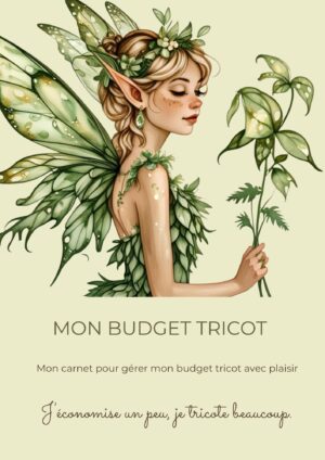 Mon Budget Tricot
