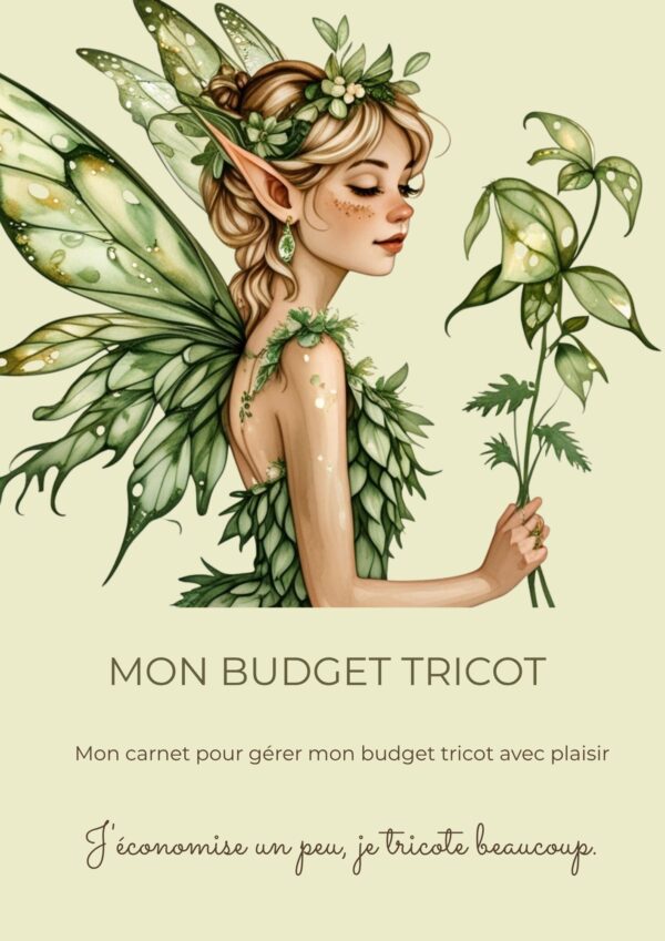 Mon Budget Tricot