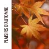 Le magazine d’automne