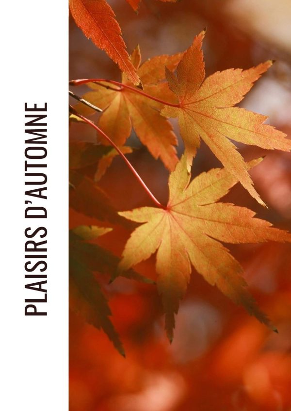 Le magazine d’automne